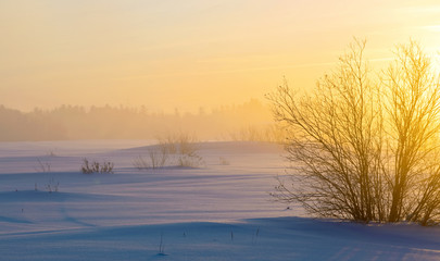 Fototapeta na wymiar Winter foggy landscape. Winter snowfield with snowdrifts in the rays of the rising sun