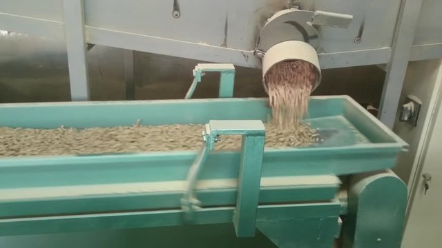 Part of pellets manufacturing process