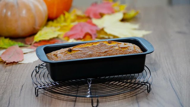 Freshly baked pumpkin bread cake in a baking tin. Served with a scattering of autumn fall leaves.