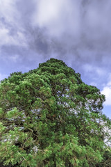 English autumn / West Sussex, United Kingdom