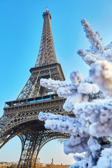Christmas tree covered with snow near the Eiffel tower in Paris