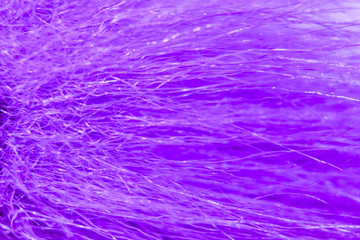 Texture of thin purple hair or fur strands