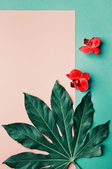 Pink background with orchids and exotic leaves, plenty of copy space