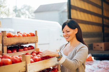 Food quality control. Checking the quality of the product. Food inspector checking the tomatoes.