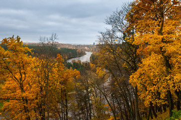 Sky, river,forest,golden leaves, autumn.