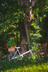 Fototapeta premium Apple farm