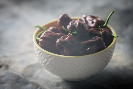 Habanero chocolate chili.
