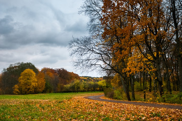 Road goind along the trees. Autumn time.