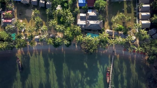From high above the beach resort at sunrise, the aerial camera descends onto the resort stopping just above a palm tree.