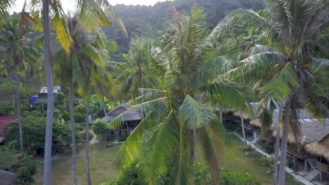 Flying among the trees under an overcast sky, you can see the backpacker accommodations clearly as it is laid out in a little village on Koh Tonsay, Rabbit Island, Cambodia in the Kep Province.