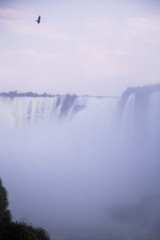 Iguazu Falls in Argentina and Brazil