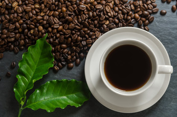Coffee cup and coffee beans with leaves on black background