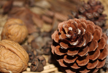 pinecone on wooden background focus on first pinecone