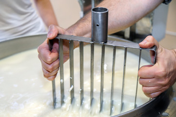 cauldron with the curdled milk brought to high temperature for the production of cheese in the...