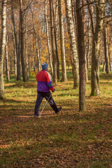 Fototapeta premium Active senior man during heatlhy nordic walk in the nature. Sports autumn Park.