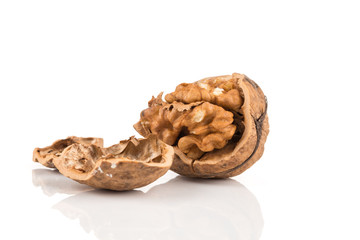 Walnut nut on white