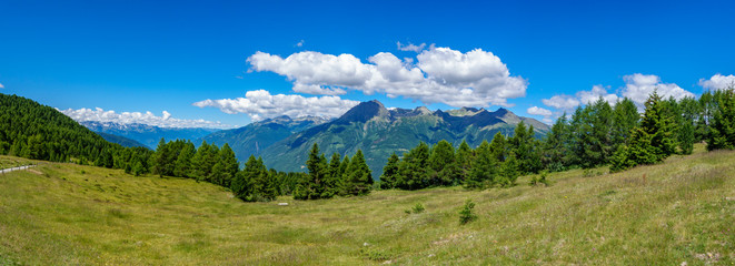 Panoramic view from Mortirolo pass