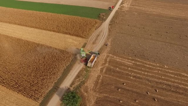 Aerial drone shot of a corn harvest