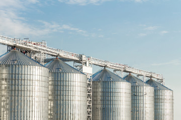 Modern agricultural silos or grain elevator with blue sky on the background. Storage of grain and other different cereals