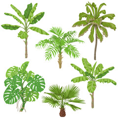 Obraz premium Tropical Plants Set