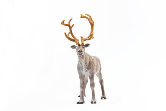 Figurine of a deer on a white background. Element for Christmas, New Year,Front view