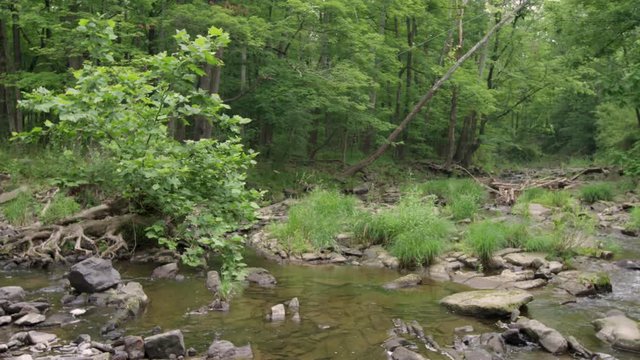 Panning shot of creek
