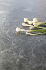 Frühlingszwiebeln auf Küchenplatte - 177571075