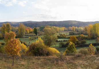 Autumnal meadows and groves landscape with low hills in the background 