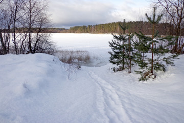 Obraz premium Winter scenery