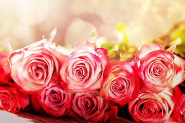 Beautiful Pink Roses Flowers Bouquet Background