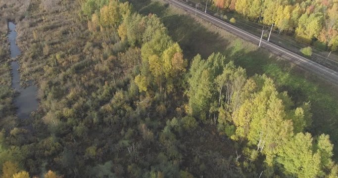 Aerial forward flight over railroad surrounded with autumn trees in forest in october