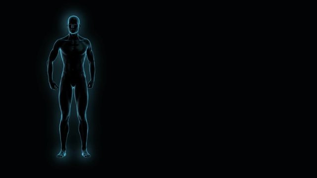 X-ray scan of a man with obesity losing weight concept of a healthy lifestyle with a blue  glow 3d rendering 4k UHD video