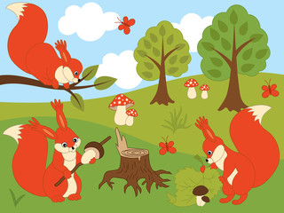 Vector Set of Cute Cartoon Squirrels