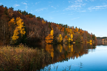 Fall view with dazzling colors and reflections in water