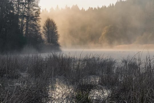 Nebel zieht &uuml;ber Weiher im Herbst - Zeitraffer