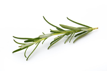 Fototapeta premium Rosemary isolated on white background, Top view.