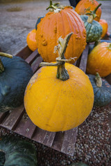 pumpkins for sale