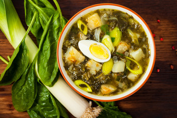 Green Russian Potato, Spinach, and Sorrel Soup with egg. Selective focus.