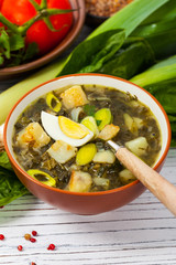 Green Russian Potato, Spinach, and Sorrel Soup with egg. Selective focus.