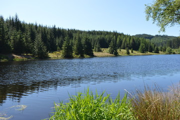 Fototapeta na wymiar Loch