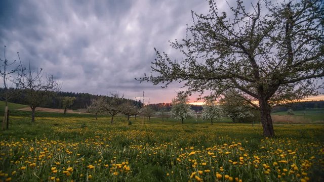 Wolken formen sich &uuml;ber einem Feld bei Sonnenuntergang- Zeitraffer