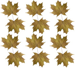 Autumn leaves symmetric