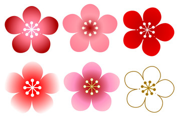 梅　春　花　アイコン