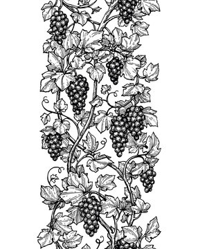 Seamless illustration of grapes.