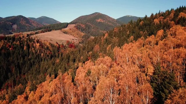 autumn mouting forest landscape in flight up warm tonning