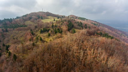 Aerial view of autumn forest.