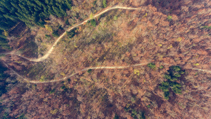 Top view of a road through forest.