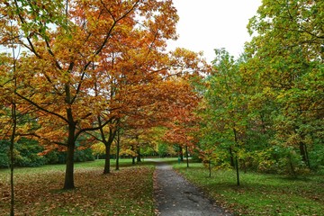 Jesień w Parku na Zdrowiu w Łodzi