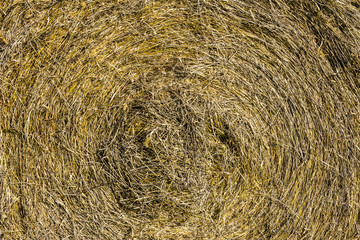 Abstract of hay bale for background or wallpaper III