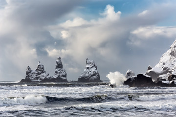 Basalt rock formations Troll toes on black beach in winter. Reynisdrangar, Vik, Iceland